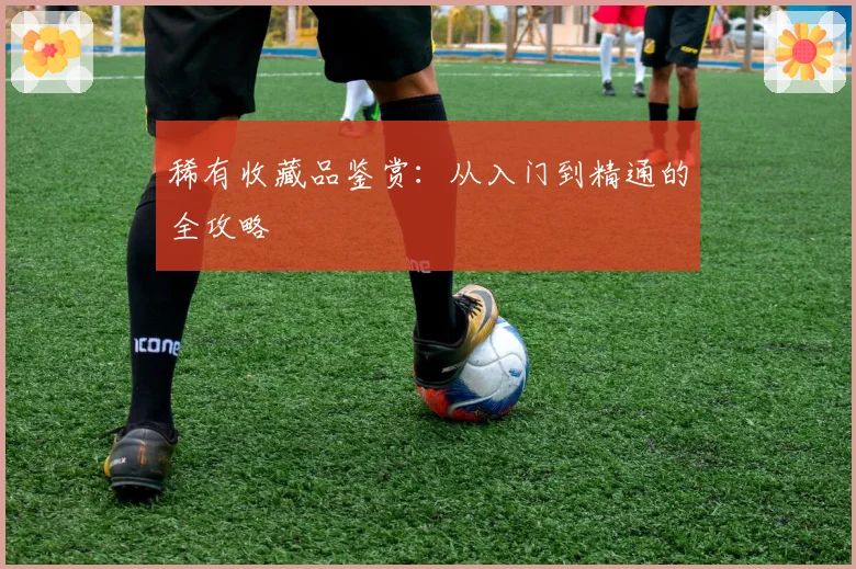 稀有收藏品鉴赏：从入门到精通的全攻略