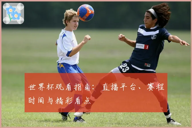世界杯观看指南：直播平台、赛程时间与精彩看点