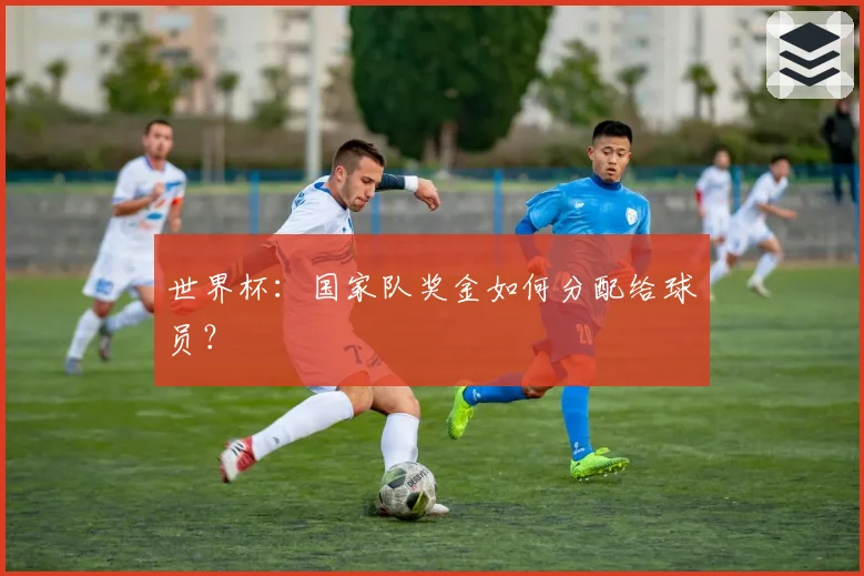 世界杯：国家队奖金如何分配给球员？