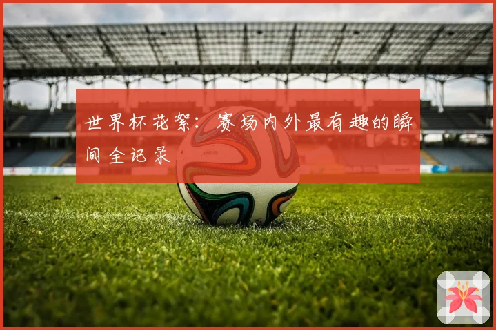 世界杯花絮：赛场内外最有趣的瞬间全记录