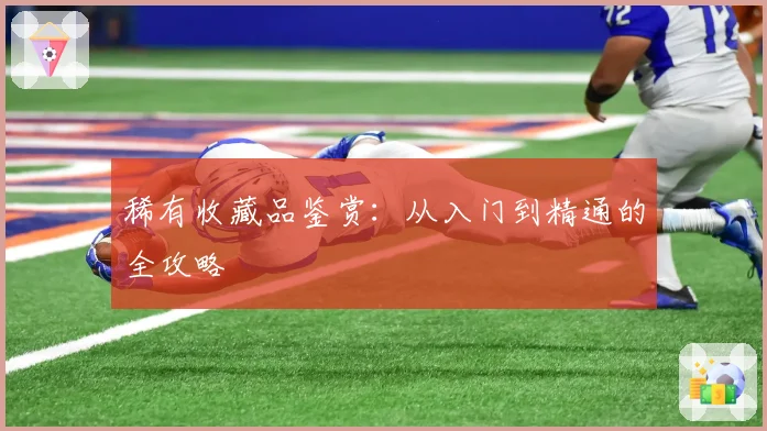 稀有收藏品鉴赏：从入门到精通的全攻略