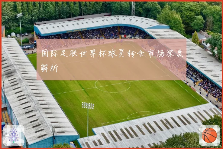 国际足联世界杯球员转会市场深度解析