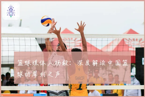 篮球媒体人杨毅：深度解读中国篮球的犀利之声