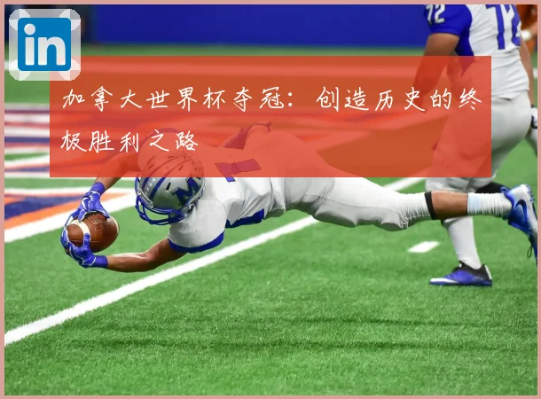 加拿大世界杯夺冠：创造历史的终极胜利之路