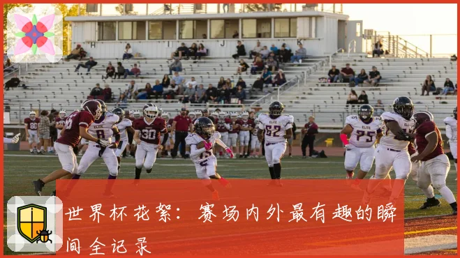 世界杯花絮：赛场内外最有趣的瞬间全记录