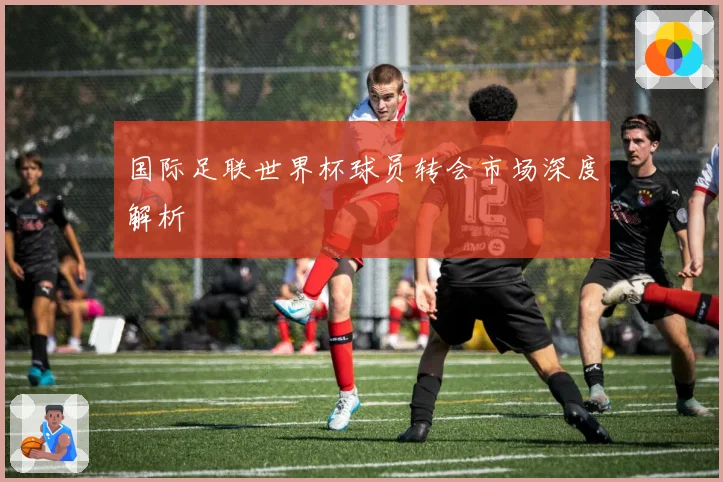 国际足联世界杯球员转会市场深度解析