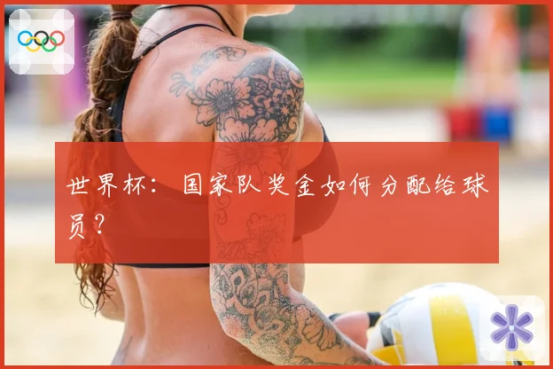 世界杯：国家队奖金如何分配给球员？