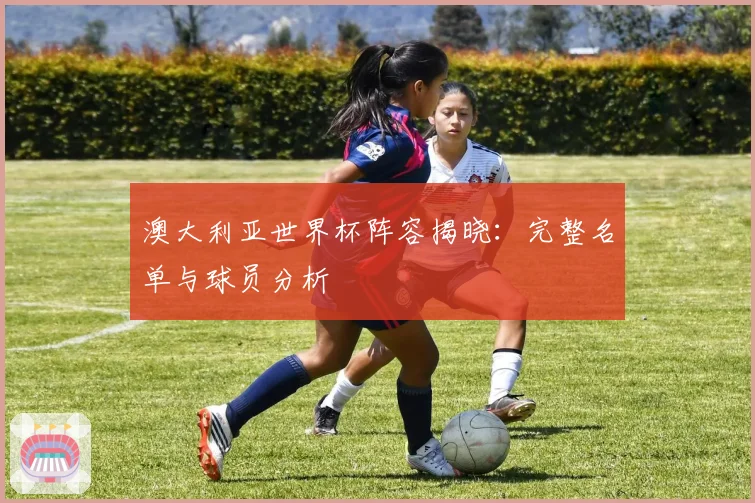 澳大利亚世界杯阵容揭晓：完整名单与球员分析